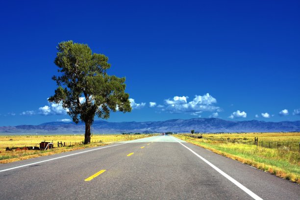 美国科罗拉多州的夏季荒野景观图片下载