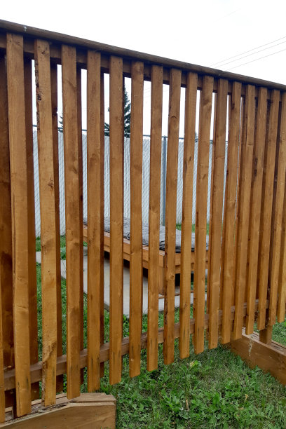 享受阳光的方式图片下载