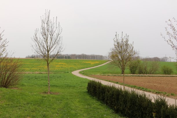 Bad Rappenau的春天图片下载