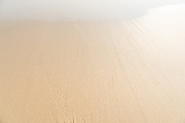 湿砂纹理背景的细节近距离。图片下载