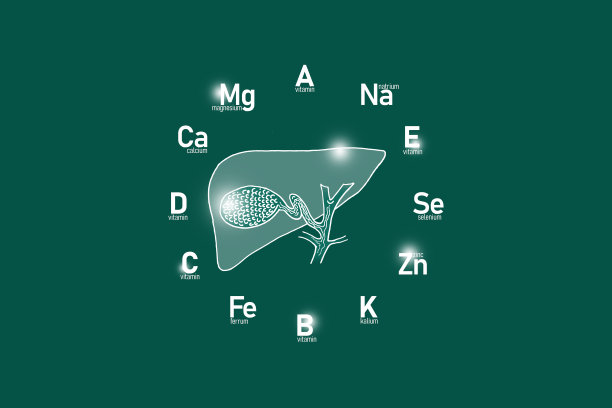 手绘人胆图，背景为深绿色。图片下载