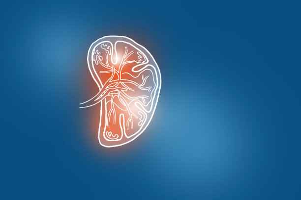 深蓝色背景上的人类脾脏手绘插图。图片下载