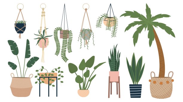 家庭盆栽收集图片下载