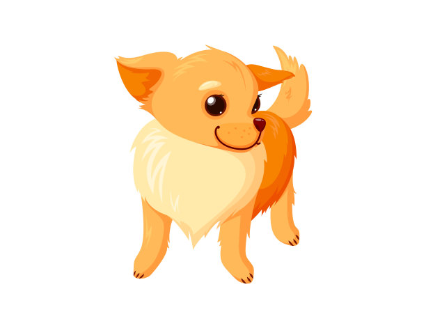 站吉娃娃的宠物。纯种狗伴侣孤立在白色背景。矢量图图片下载