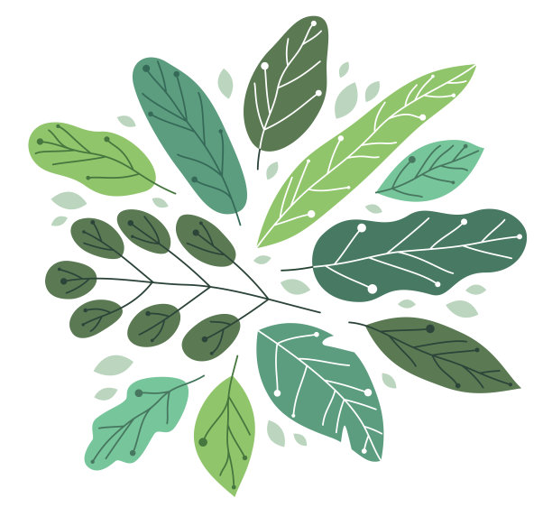 美丽清新的绿叶平面风格矢量插图孤立在白色，花卉构图，植物设计。图片下载