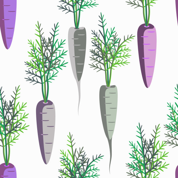 胡萝卜蔬菜矢量无缝模式。图片下载