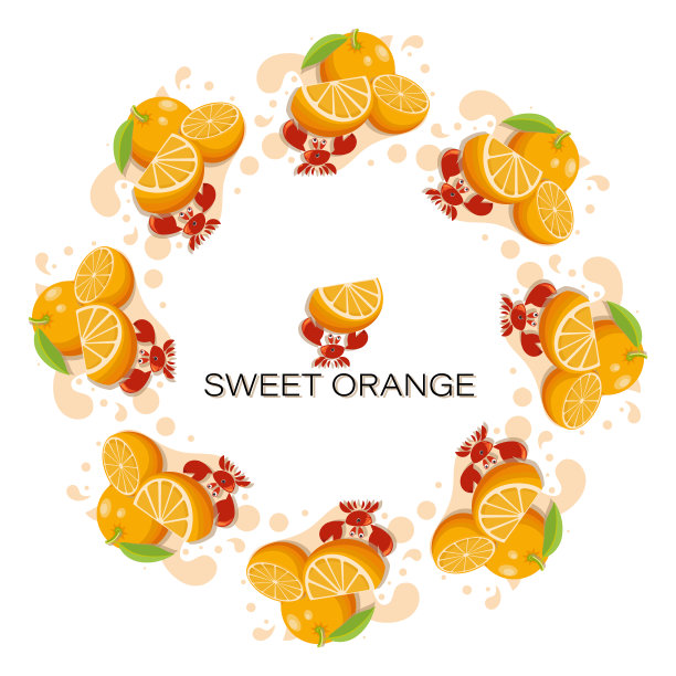 甜橙。新鲜水果。圆的框架。热带水果，可爱的蟹和一片成熟的橙子。图片下载