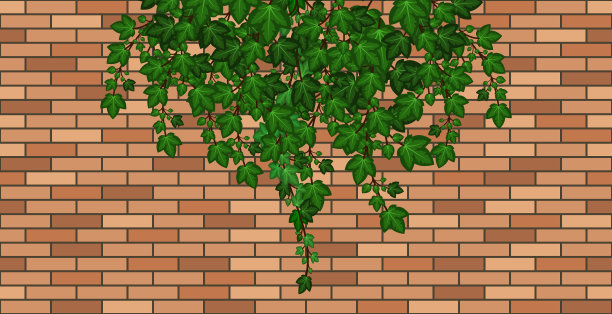 长春藤叶子飘落的砖墙。褐色砖墙、墙或篱笆上的绿色常青藤叶子。卡通背景图案。矢量图图片下载