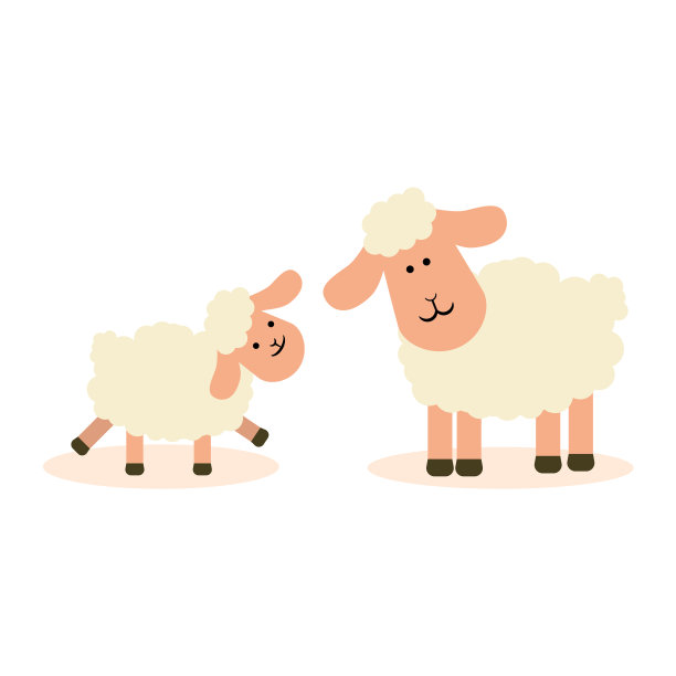 孤立的白色背景上的一只绵羊和一只羔羊图片下载