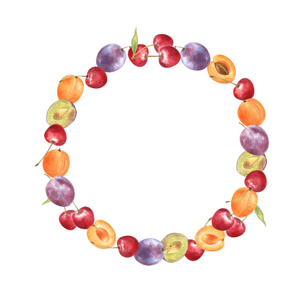 夏天的水果花环在白色孤立的背景。用水彩画李子、樱桃和杏子。图片下载