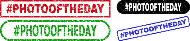 #标签photosoftheday矩形水印图片下载