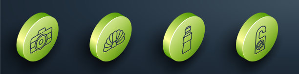 设定等距摄影拍摄扇贝海贝图片下载