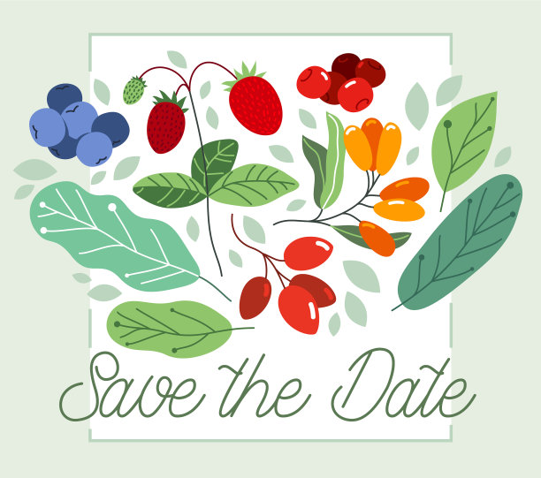 贺卡与成熟的野生浆果和新鲜图片下载