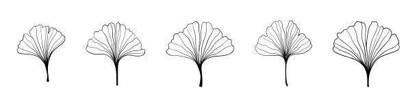 银杏叶黑色轮廓素描风格。孤立在白色背景上。示意图说明。抽象艺术的本质。矢量手绘线条艺术图片下载