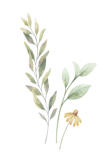 水彩排列绿枝图片下载