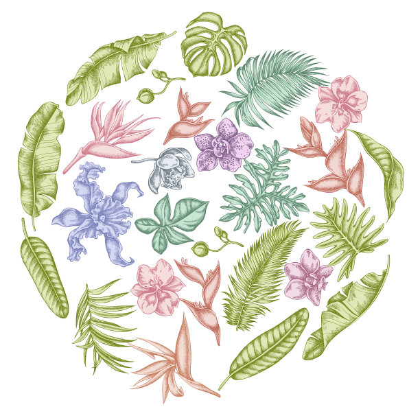 圆形花卉设计与柔和的怪物香蕉图片下载