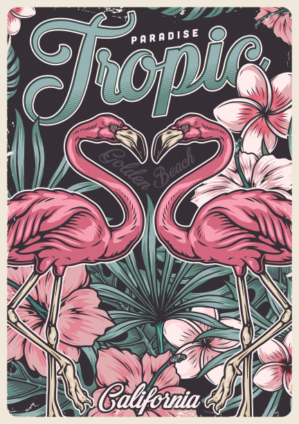 热带复古彩色海报图片下载