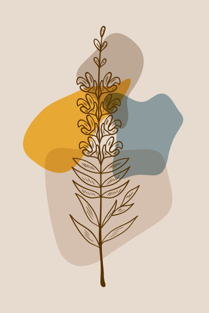 金鱼草，抽象，海报，简约图片下载