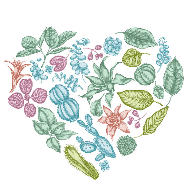 心花设计与彩色榕树鸢尾图片下载