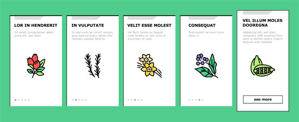 芳香疗法药草上图标集图片下载