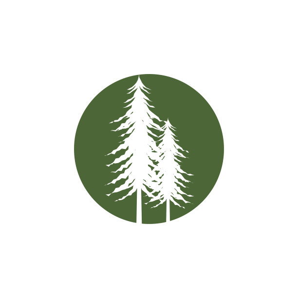 雪松树图片下载