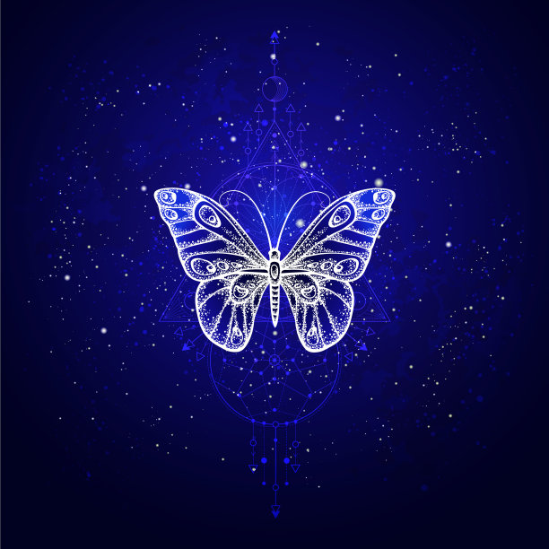 蝴蝶与几何符号图片下载