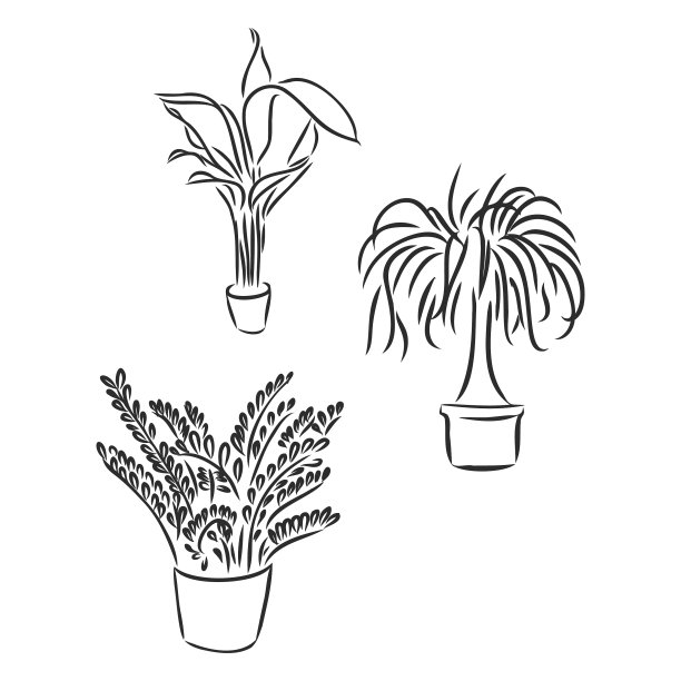 盆栽用黑线画在花盆里图片下载