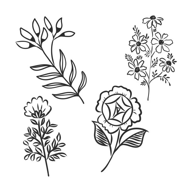 墨水，铅笔，叶子和花，苹果图片下载