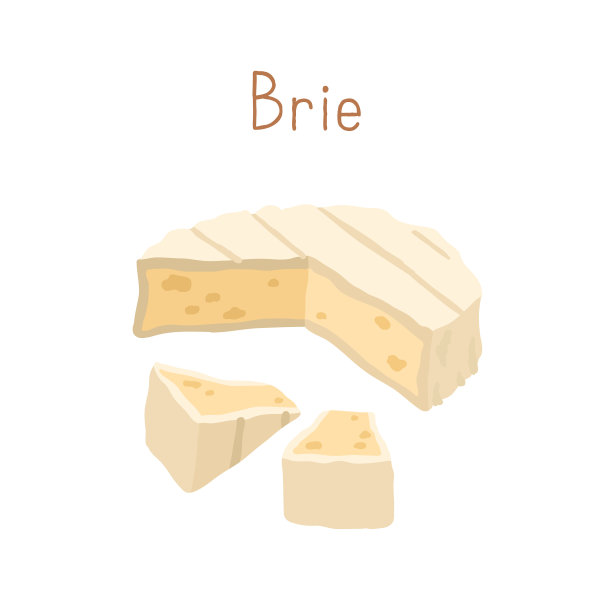 灰色外皮的美味软奶酪图片下载