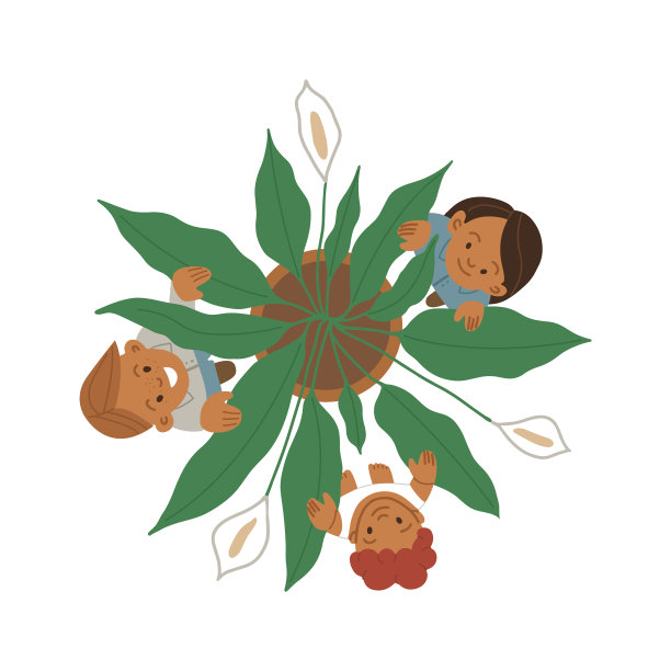 剑叶植物以三花顶视图图片下载