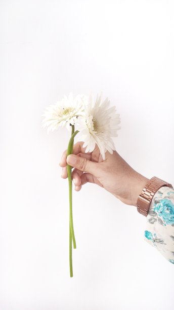 手上有一朵最小的白花图片下载