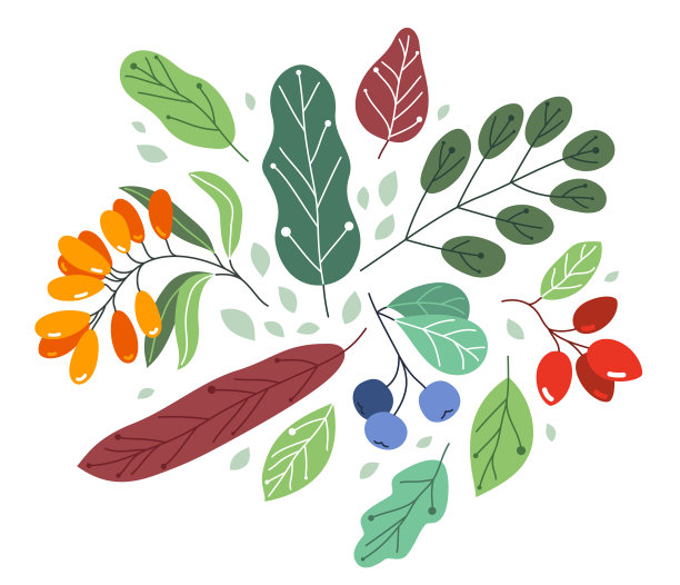 野生浆果新鲜成熟，美味健康食品图片下载