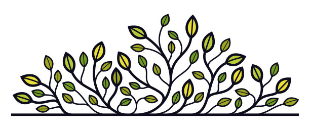 叶和枝孤立的花图案图片下载