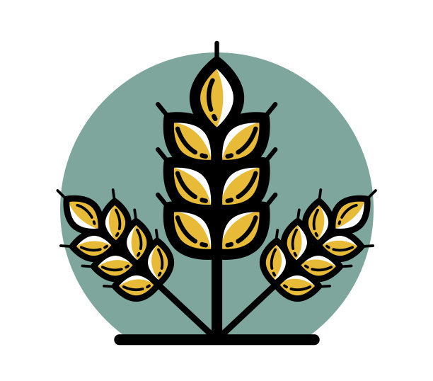 成熟小麦穗线形图标孤立在白色上图片下载