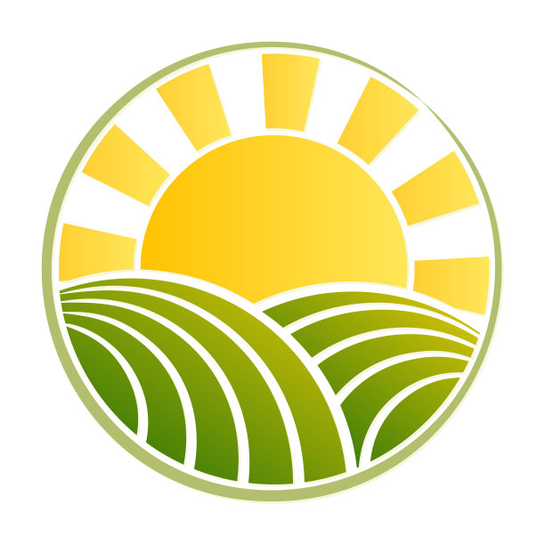 麦田象征着黎明的阳光图片下载