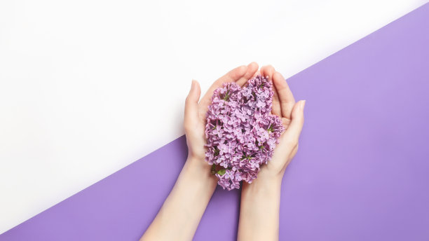 女性双手捧着白色背景上的丁香花。天然美容产品概念。俯视图，平放。图片下载