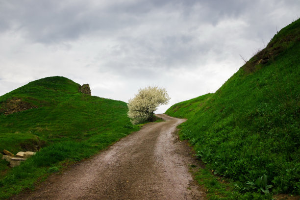 在多云的天空下，樱花盛开的春天的典型景观。青山和樱桃树之间的土路图片下载