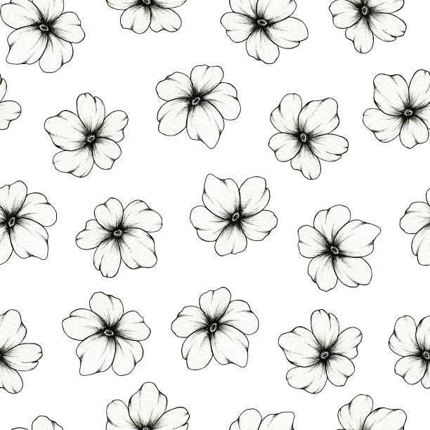 简单的花表面图案设计在白色，植物无缝的背景与手绘可爱的花，图形素描插图的婚礼文具，问候，纺织，时尚，包装纸图片下载