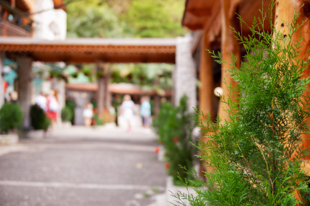 一个花园的特写图片下载