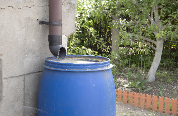 蓝色的桶里装着雨水图片下载