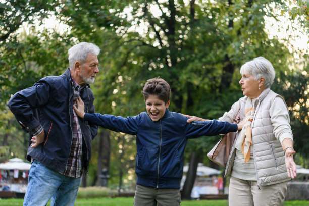 一位老人和他的妻子在公园里进行严肃的讨论。图片下载