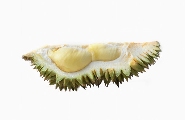 新鲜成熟的榴莲皮，带壳带刺。泰国水果之王。热带和季节性著名水果孤立在白色背景。图片下载