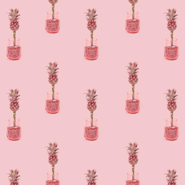 图案与矮观赏的粉红色菠萝花在玻璃花瓶。一种时尚的外来植物。图片下载