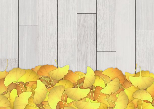 图解银杏叶散落在一块板上图片下载