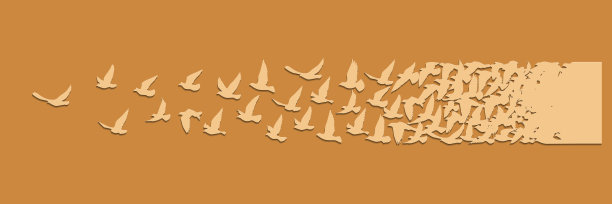 飞翔的鸟儿在白色的背景上剪影。矢量插图。孤立的鸟飞。纹身设计。图片下载