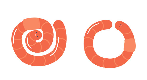 采购产品蚯蚓螺旋和圆形的形状，土壤蚯蚓，粉红色或红色的堆肥昆虫。自然、野生生物图片下载