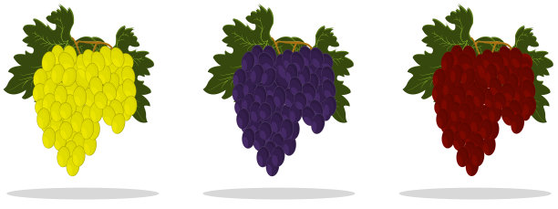 葡萄的颜色多种多样，有绿、紫、红图片下载