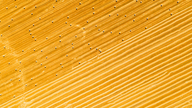 田野鸟瞰图与内衬稻草包在农田上图片下载