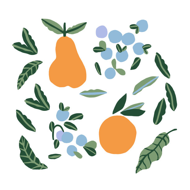 简单和现代的橘子，梨，蓝莓和树叶插图资源图片下载