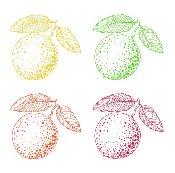 一套四个柑橘类水果在树枝上涂鸦风格的叶子在橙色，黄色，绿色和红色的颜色-柠檬，酸橙，橙子，柚子。图片下载